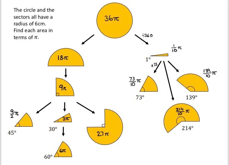 The circle and the sectors all have a radius of 6cm.
Find each area in terms of π

A flowchart of different sized sectors whose areas can be deduced using proportionality. 